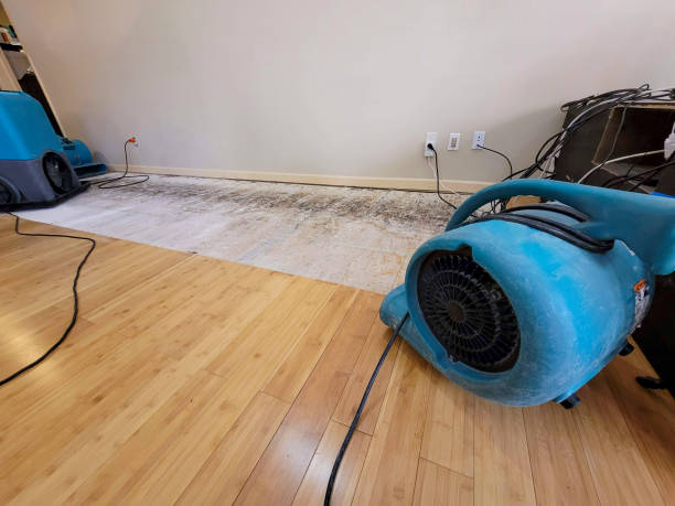 Professional Water Extraction technician working in Thatcher, UT